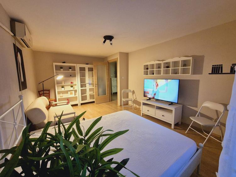 Garsoniera de inchiriat , Lacul Tei , Proprietar - 1