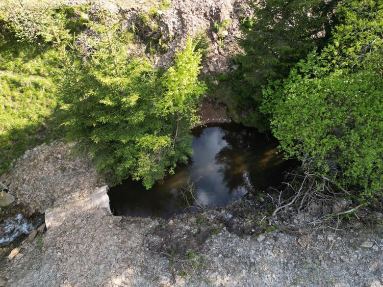 Teren de vanzare, Muntele Bocului Baisoara ,teren1000 mp - 19