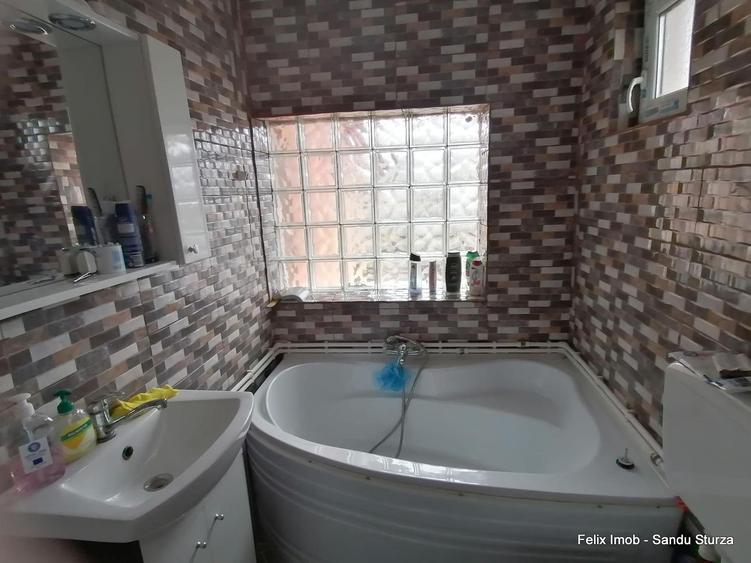 Lipova, gospodarie completa, 2 case si 2900 mp teren - 7