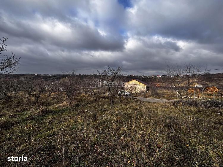 Teren Intravilan Str Livezilor - 2