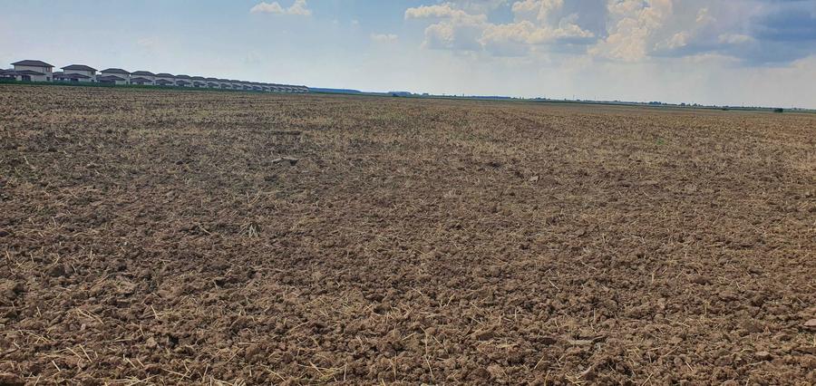 Vand teren 23300 mp Balotesti. - 5