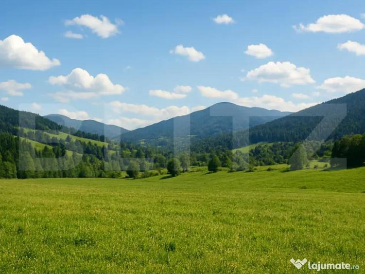 Teren intravilan de vanzare, 7.000 mp, Vatra Dornei - 1