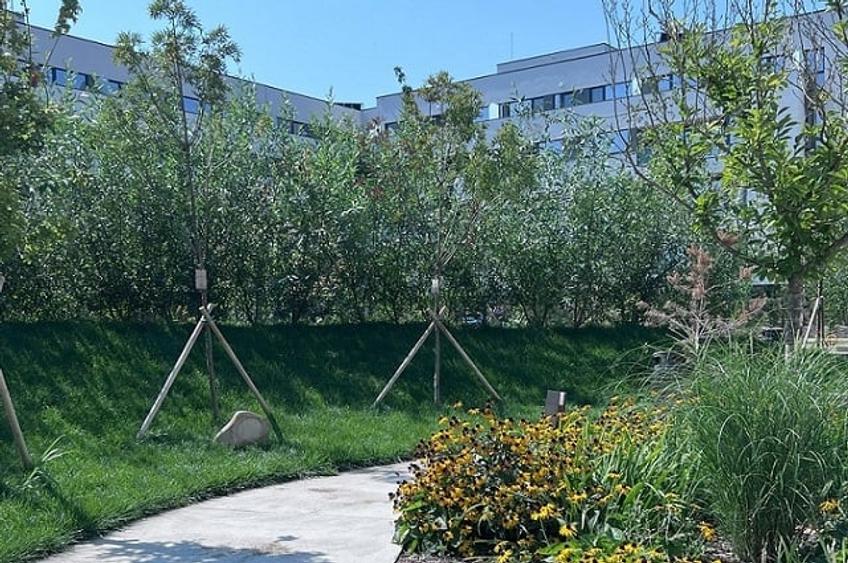 Sector 1 apartament 2 camere + gradina proprie - reper Mall Colosseum - 4