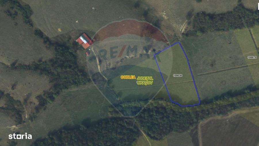 Teren 10,000mp Codlea / DN 1 - 7