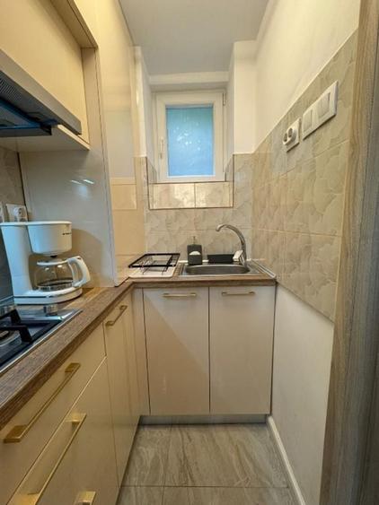 Apartament confortabil cu doua camere, Cismigiu- Casa Radio - 7