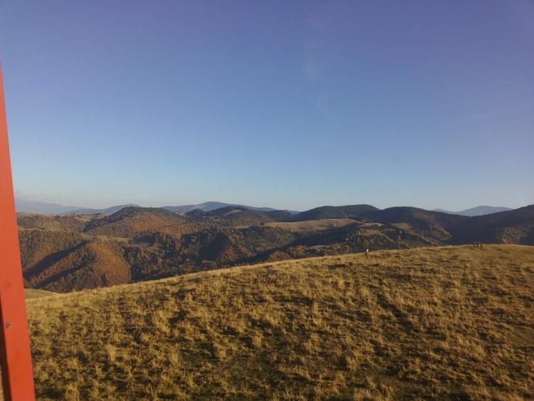 Casa individuala cu teren zona Paltinis - 9