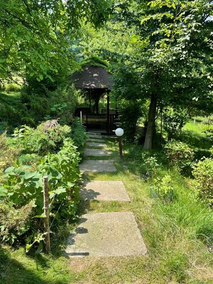 Vila 5 camere | Teren 5283 mp | Breaza - Comarnic | Gura Beliei - 6