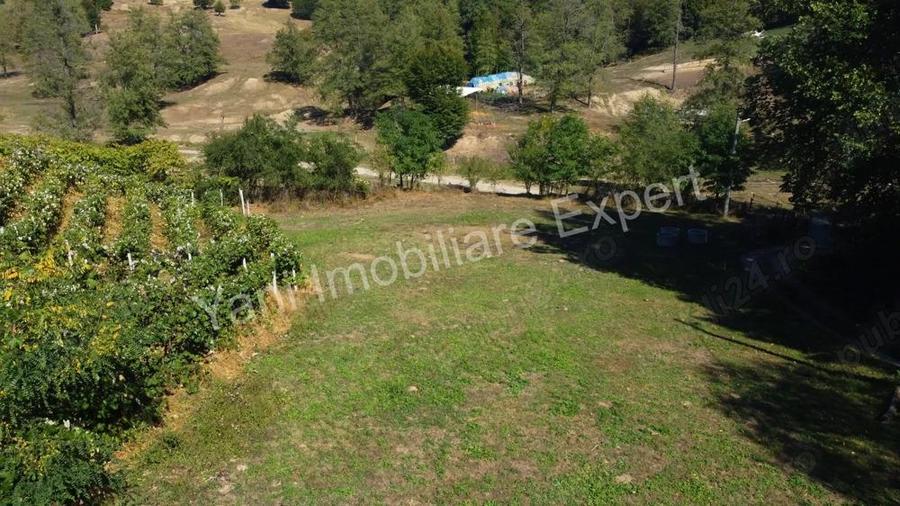 Teren de vanzare in comuna Baicule?ti, sat Tutana, jude? Arge?. - 8