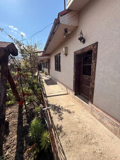 CASĂ 100 MP + 915 MP / TOATE UTILITĂȚILE - 15