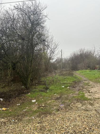 Teren de vanzare jud dambovita , Podul Cristinii - 2