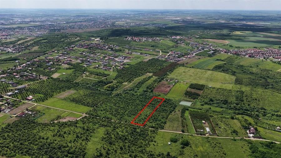 TEREN INTRAVILAN in Paleu - 4