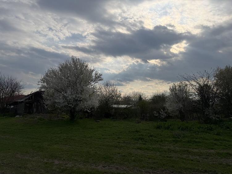 15000 negociabil - 4