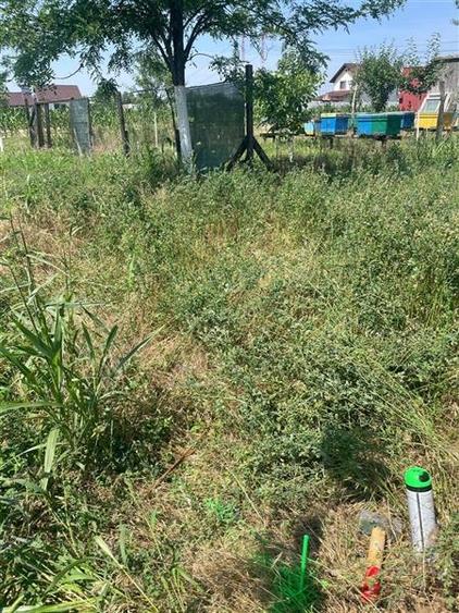 Vanzare teren localitatea Magurele - 5