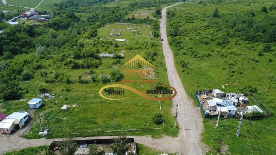 Teren pentru constructie hala indrustriala - Moinesti/Bacau - 1