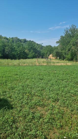 Casă cu teren 3800 mp,situată in com. Berislăvesti - 11