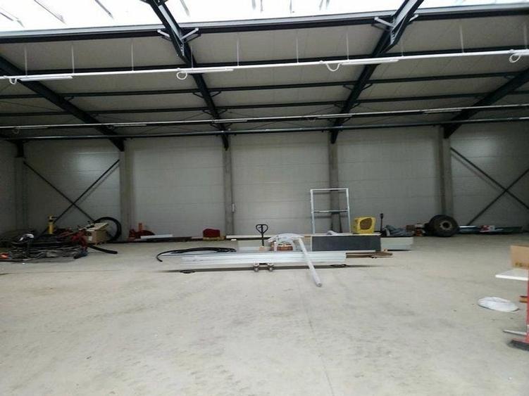 Pantelimon DN3 hala 600 mp - 9