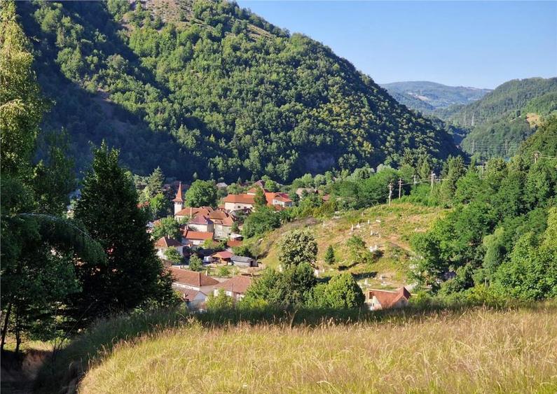 RECO teren extravilan Remeti - 8