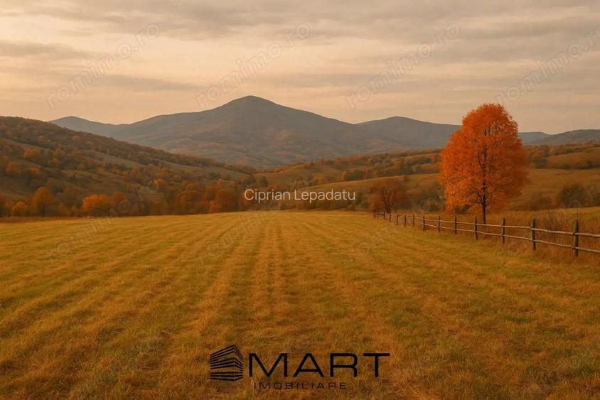 Teren intravilan zona Tocile