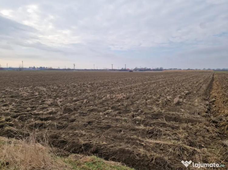 Hideaga, com Satulung, 59 ari ideal pentru dezvoltare ac - 1