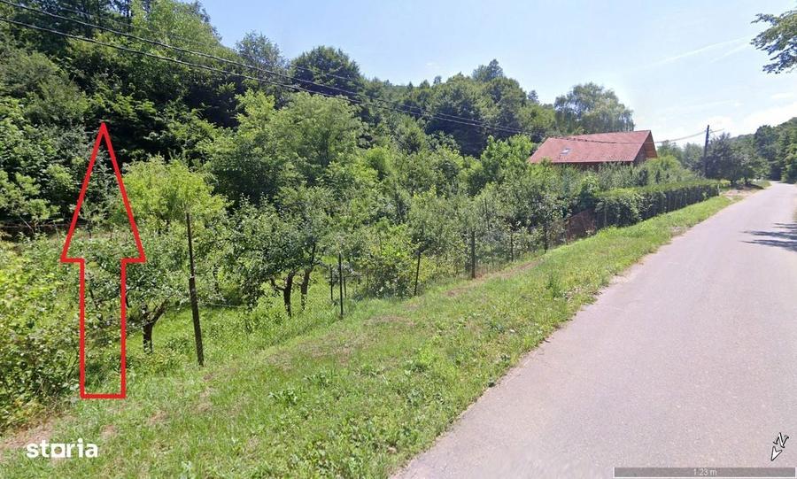 1.413mp extravilan Valea Vetelului zona retrasa - 1