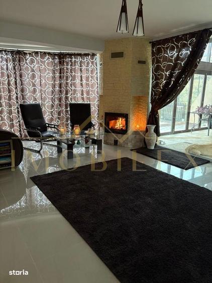 Casa individuala ,teren 2500mp Dambul Rotund - 7