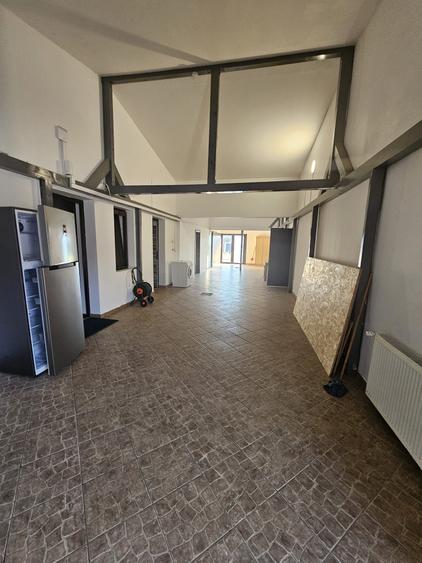 Proprietate speciala Dumbravita - casa individuala !! - 7