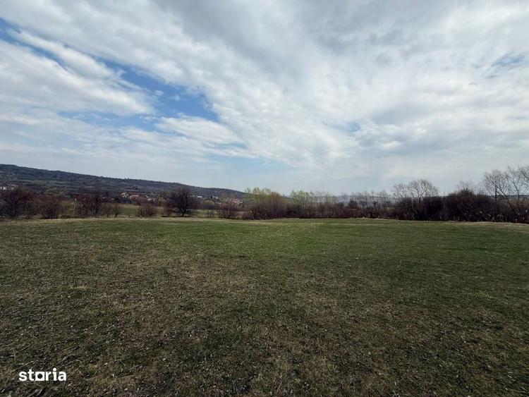 Oportunitate pentru investitie, Teren 8600 mp , Corusu, comuna Baciu - 4