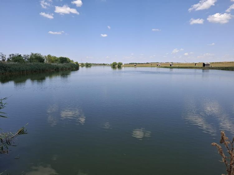 Închiriez Baltă de Pescuit – 12 Ha de Relaxare și Capturi - 4