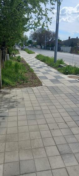 Teren intravilan 2312mp+ casa Vidra Sintesti - 4