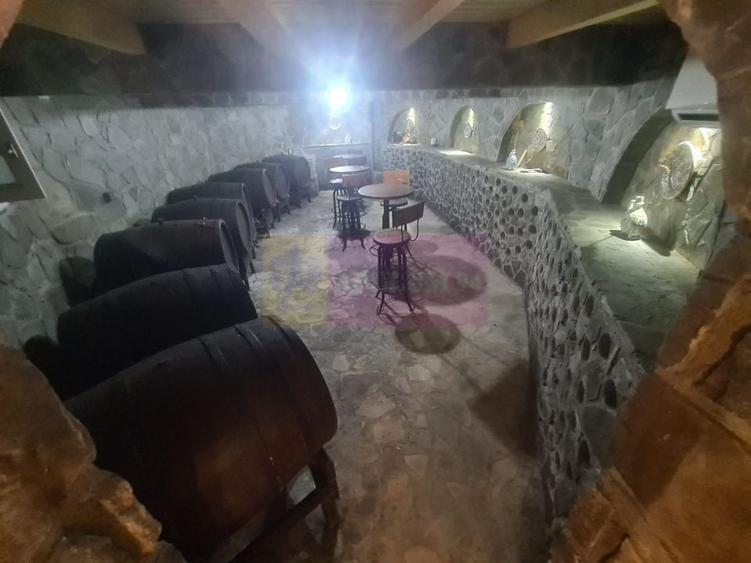 Vila de vanzare in Campina - Zona Lunca Mare - 53