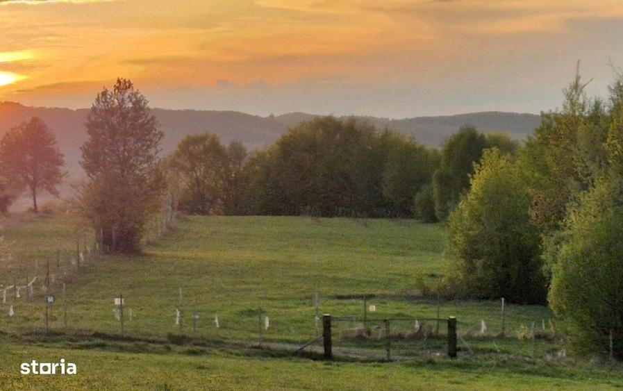 Teren 7024 mp Ciucea Cluj, livada + padure, curent, ideal cabana - 1