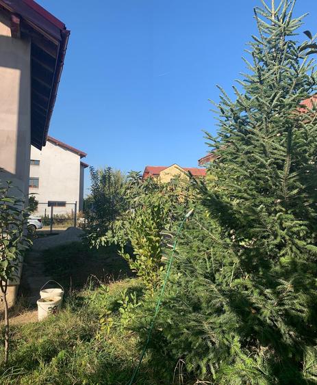 Vanzare  Vila Individuala  Henri Coanda ANL Voluntari - 3