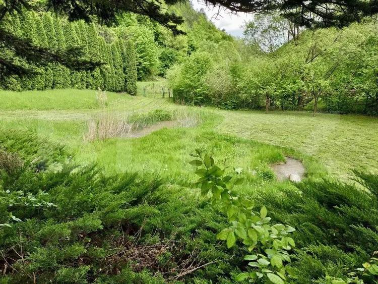 Casa de Vacan?a pe Valea Ighielului 3 camere, 2500 mp curte - 4