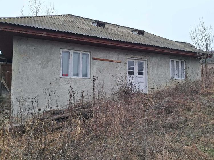 2 terenuri si casa de vanzare - 3