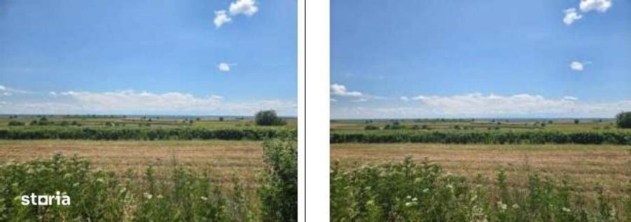 Teren de 10000 mp, în Prundu