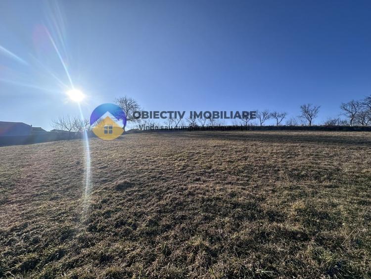 Teren intravilan DOBRENI - 9