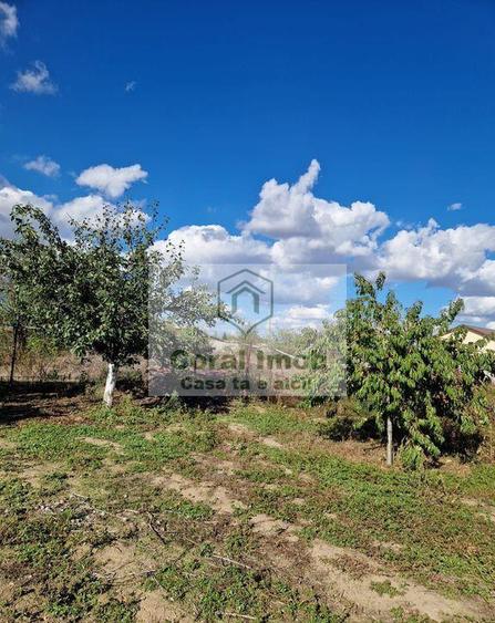 Inchiriere casa comuna 1 decembrie - 10