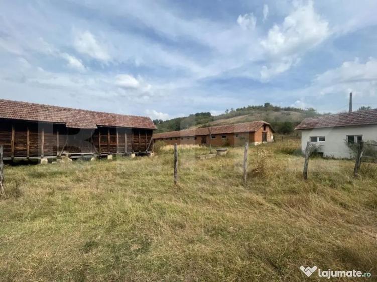 Ferma cu 3000 mp de teren si o constructie de 580 mp - 1
