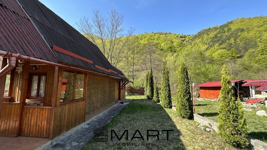 Casa cu teren langa rau Lotrioara - 4