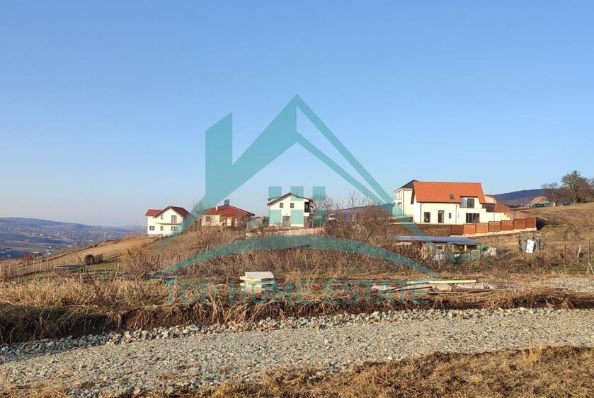 Teren extravilan in Popesti deal, comuna Baciu! - 5