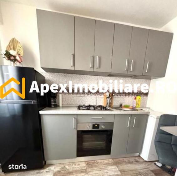 Garsoniera de inchiriat Teiul Doamnei Bucuresti | ApexImobiliare.ro - 7