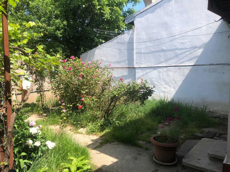 Proiect casa pe pamant necesita renovare totala, curte 85 mp, garaj+anexa - 1