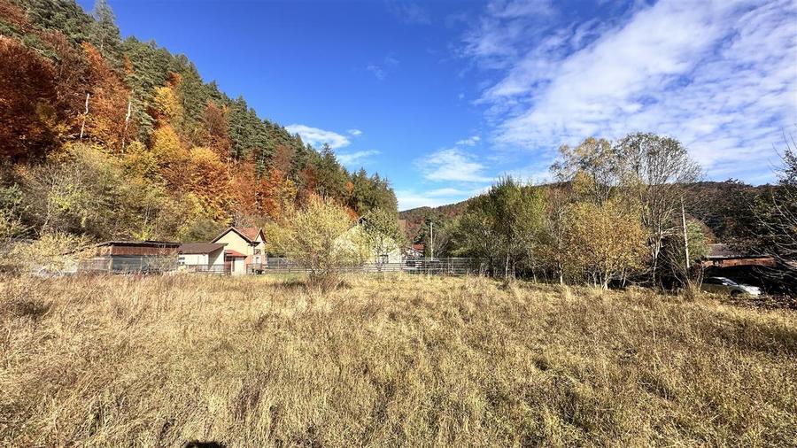 Teren intravilan cu PUZ 4000  mp -Sacele  - Bradet - 7