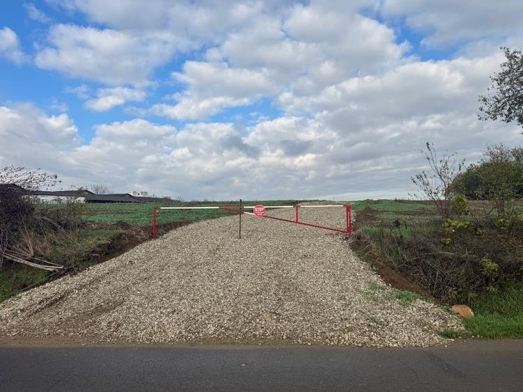 Piscu, Ciolpani, teren intravilan 1000 mp, str. Campului,aproape Muzeu, 29 eur - 4