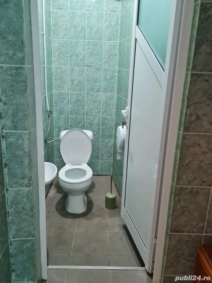 Spatiu comercial Valea Lupului - 2