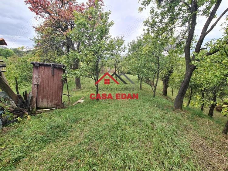 Teren intravilan in Sotrile--1671m--13e - 5