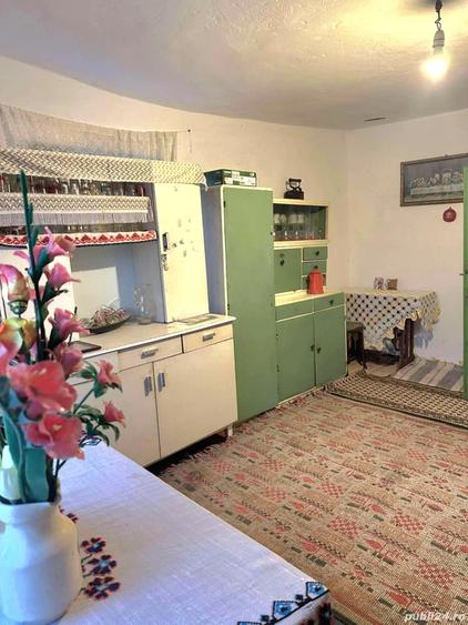 vand casa batraneasca Sat Breznicioara Comuna Stangaceaua jude?ul Mehedin?i - 1