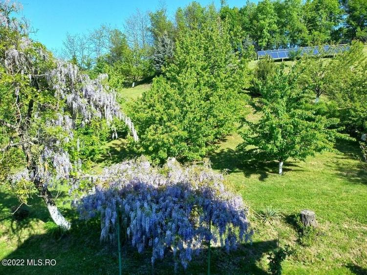 Topoloveni - Conacul Ion Mihalache, Domeniu pe 5 Hectare! - 12