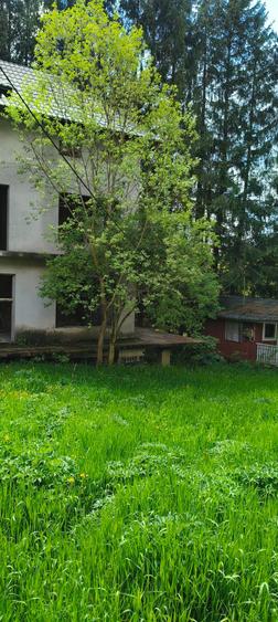Casa la rosu plus teren  cu utilitati - 5