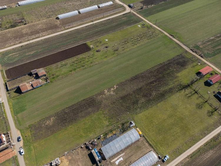 Teren 3.600 mp în Curtici, 2 fronturi stradale – La doar 20 km de Arad - 7